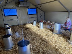 Aménagement cabane poulets
