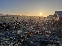 Levé du jour par un matin glacial